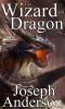 [The Wizard and the Dragon 01] • The Wizard And The Dragon